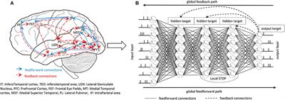 GLSNN: A Multi-Layer Spiking Neural Network Based on Global Feedback Alignment and Local STDP Plasticity